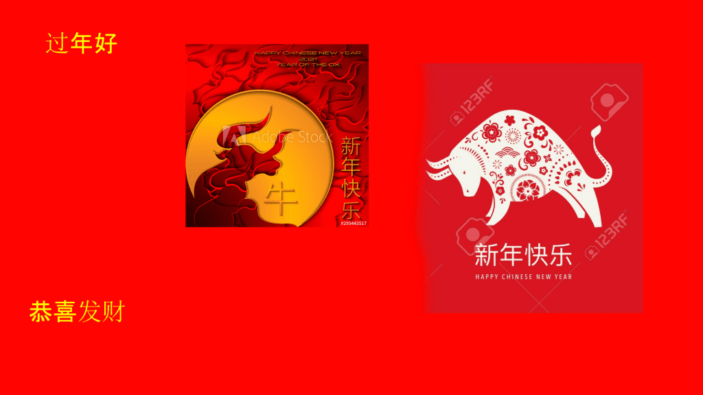Chinese New Year Banner