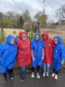 Zoo rainy day